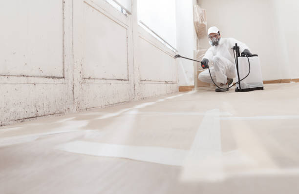 24/7 Emergency Mold Testing experts in Thornton, PA